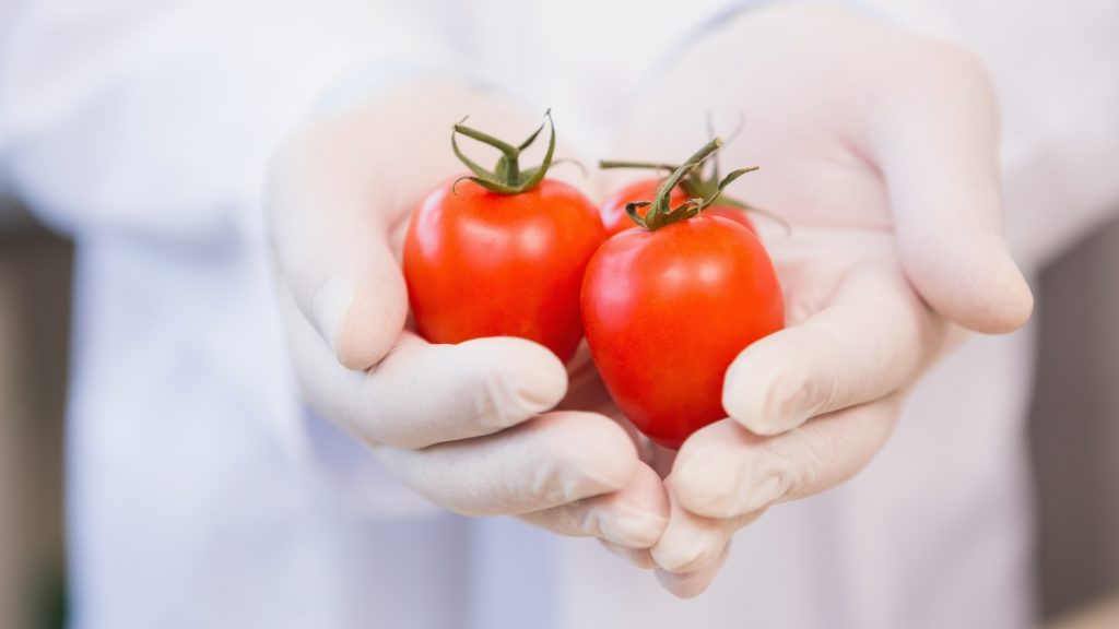 Best Online Master's in Food Science Technology - featured image