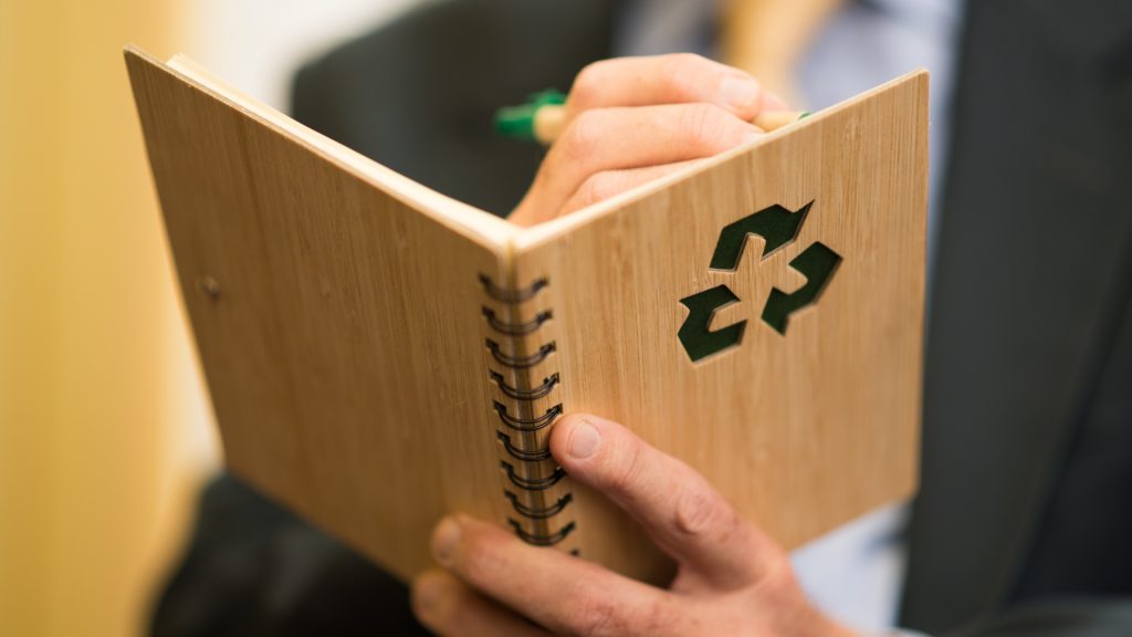 Online Master's in Sustainability - featured image