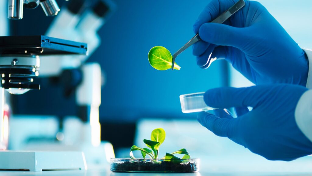 Biology vs Biotechnology - featured image