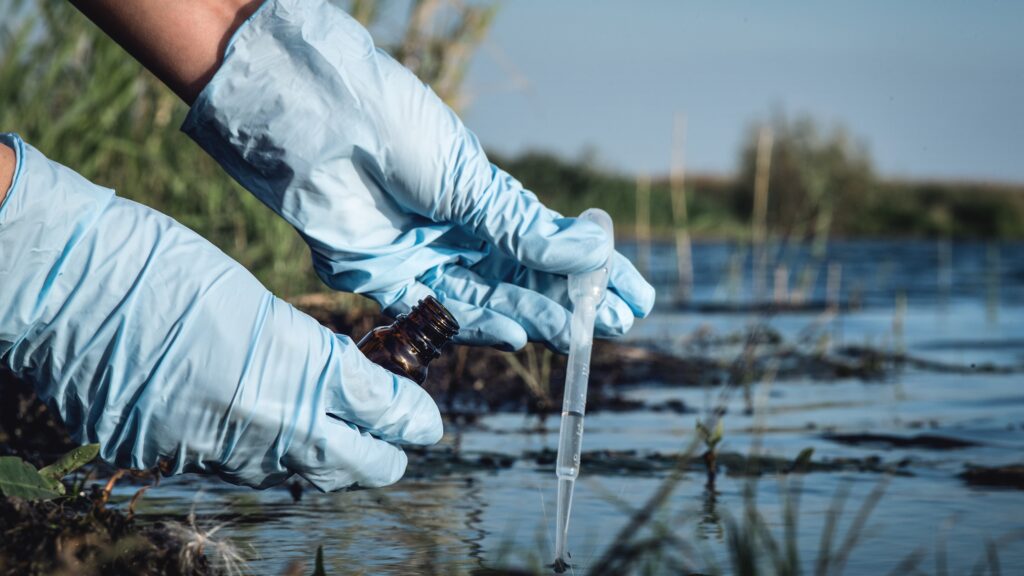 Environmental Science vs Ecology - featured image
