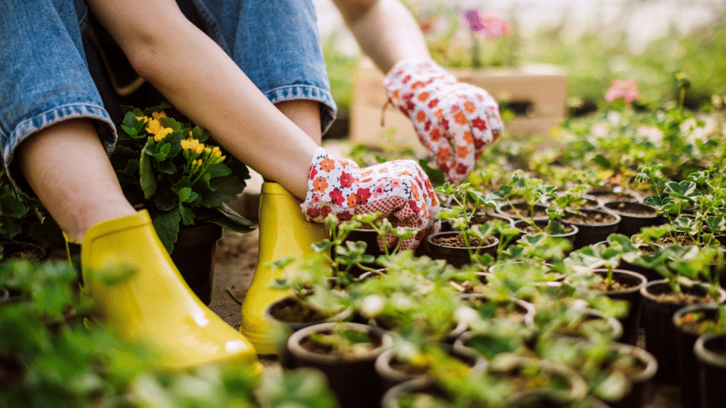 Student of Horticultural Therapy